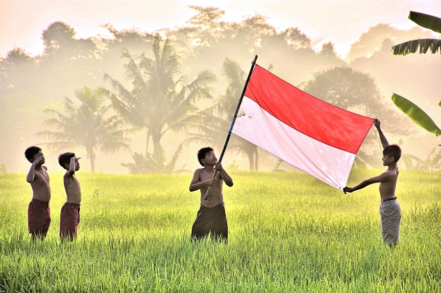 Flag Our Country