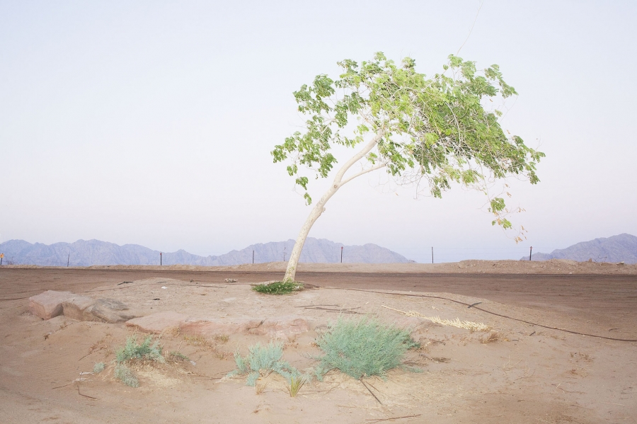 Habitat