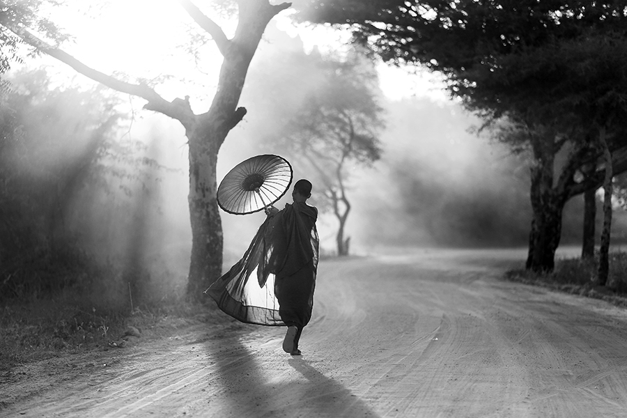 Going Home 5