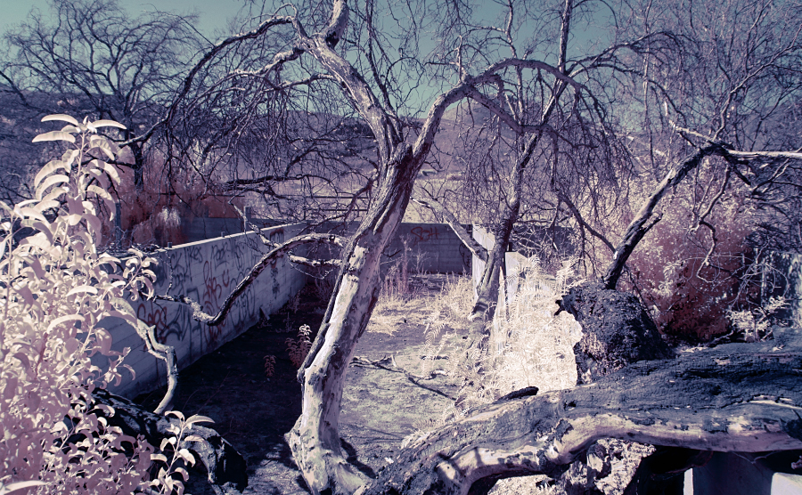 Remnants