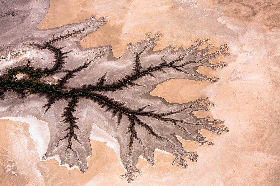 Tidal Flats