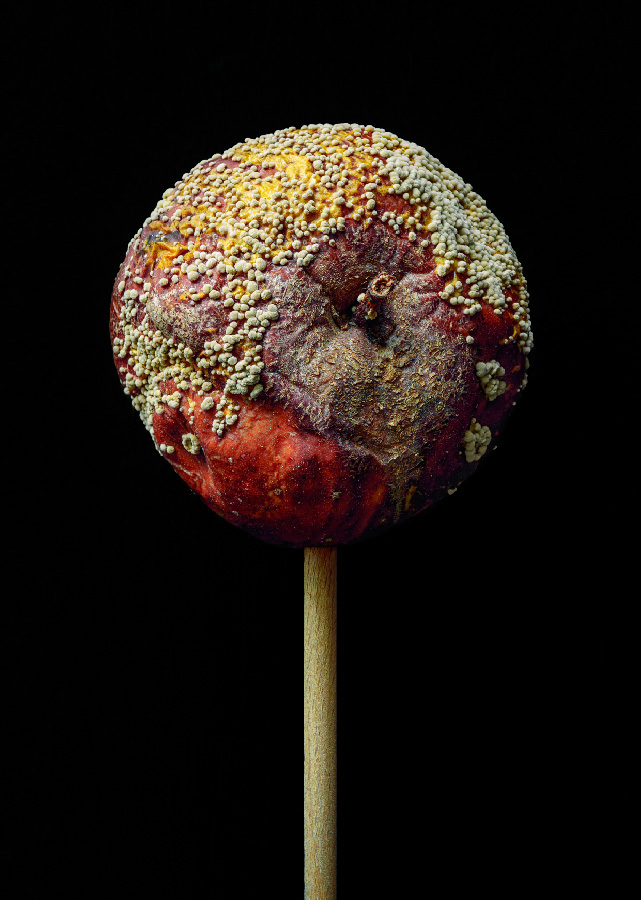 EDIBLE INEDIBLE