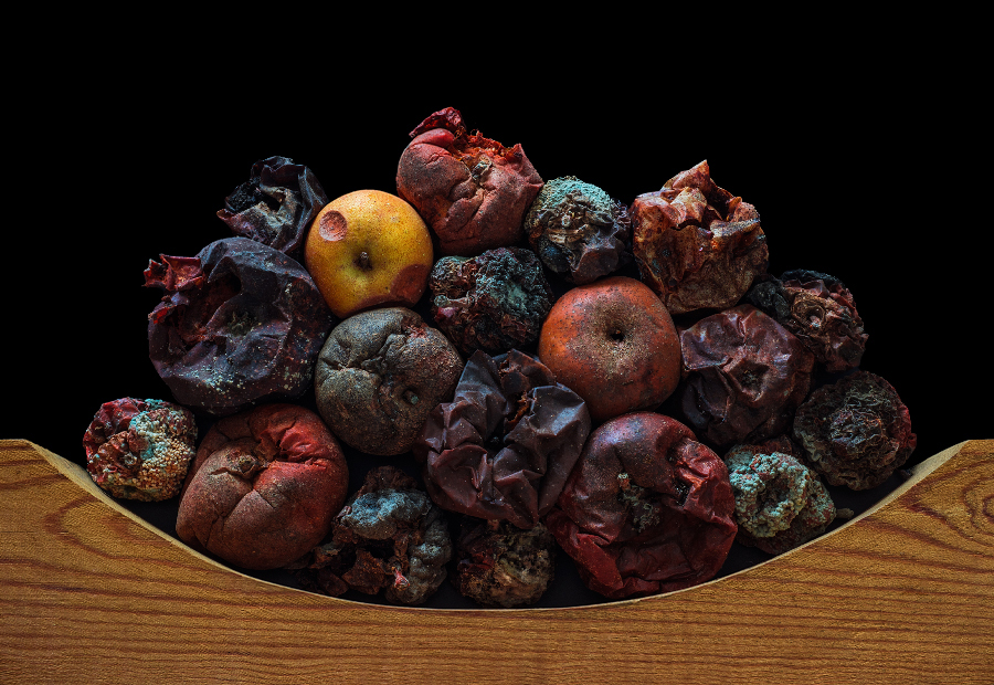 EDIBLE INEDIBLE