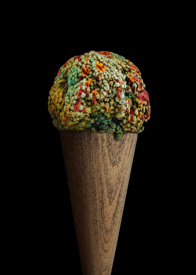 EDIBLE INEDIBLE