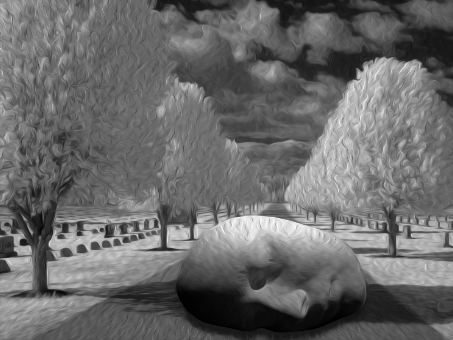 Dreamscape