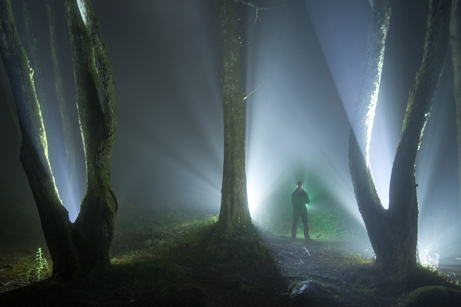 The Fog