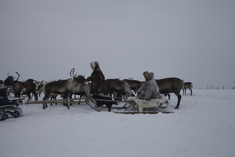 Yamal, the edge of the world