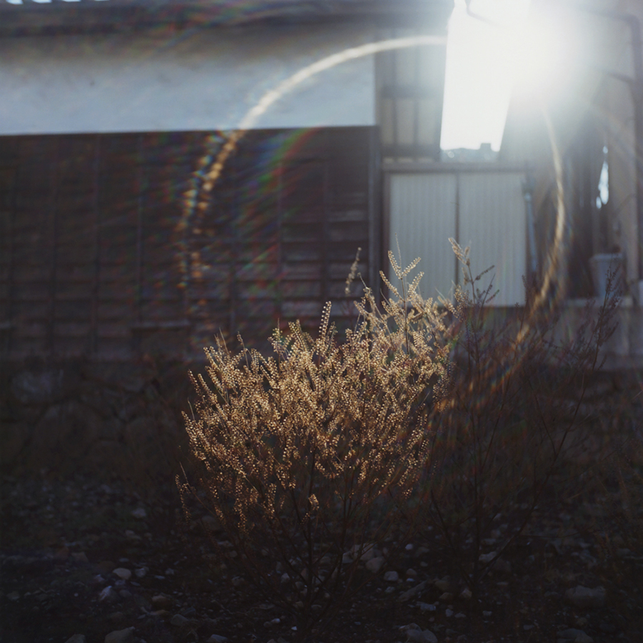 The Views of Magic Lantern