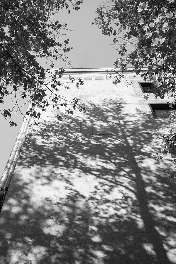Shadows of Truth