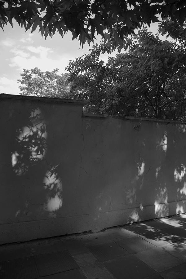 Shadows of Truth