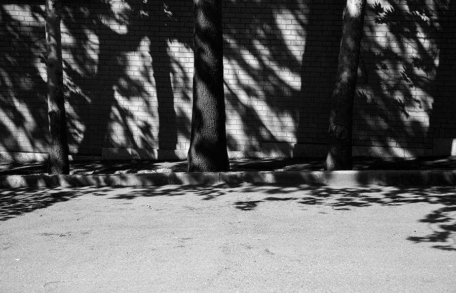 Shadows of Truth