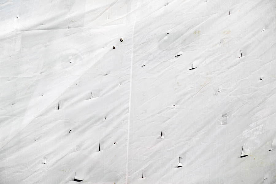 In White Limbo