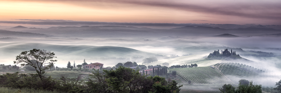 Foggy Dawn Val DOrcia