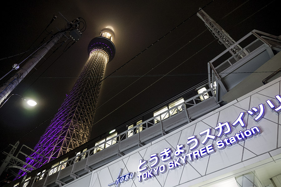 21st Century Tokyo Story