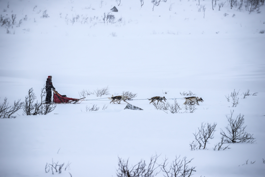  Expedition experience in the Arctic