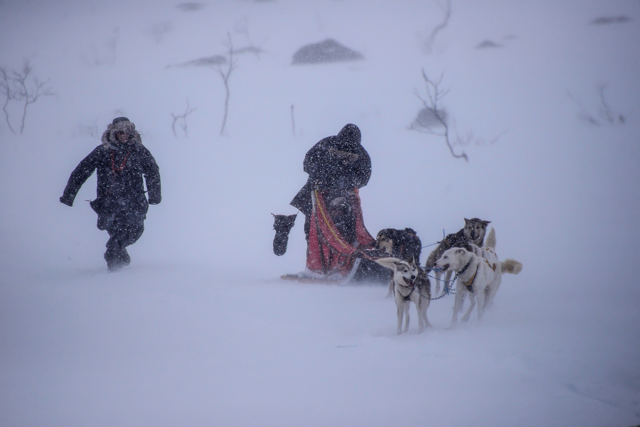  Expedition experience in the Arctic