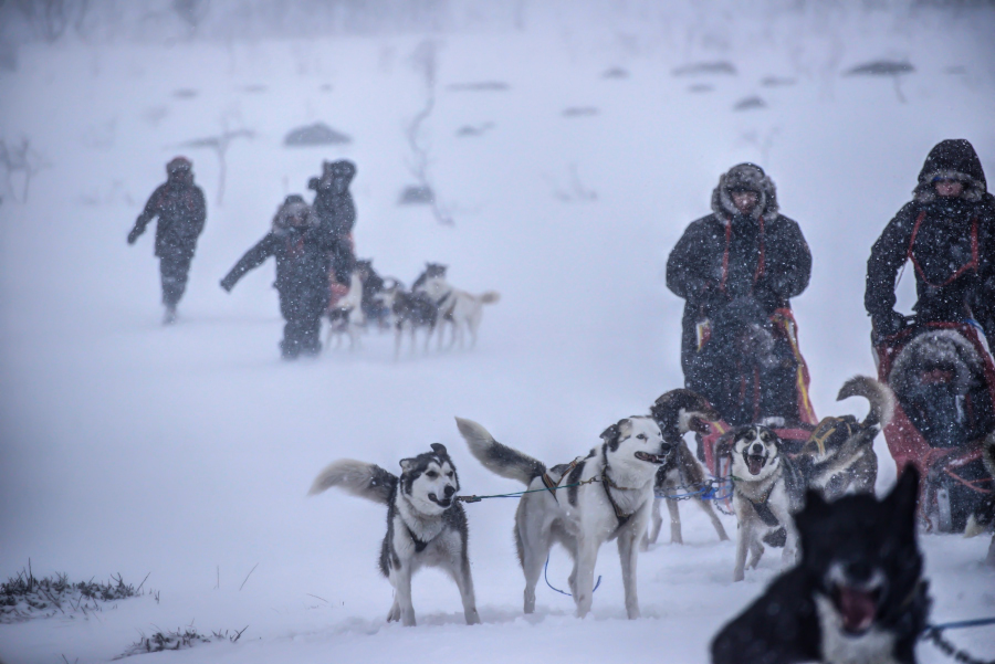  Expedition experience in the Arctic
