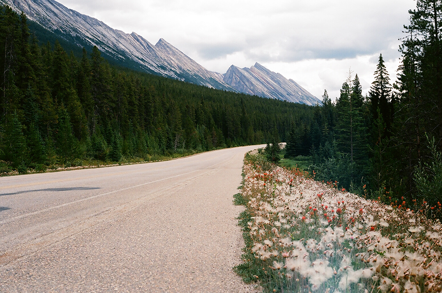 Canadian Peaks