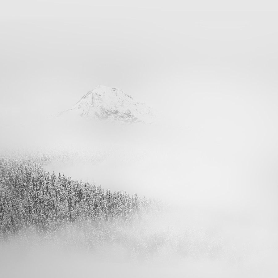 Winter Tenderness