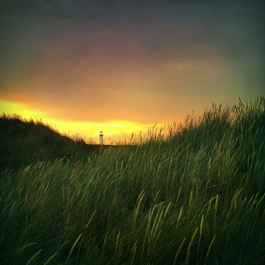 Sea of Grass