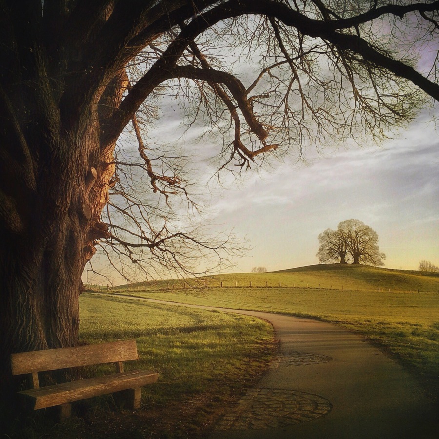 Have a Seat