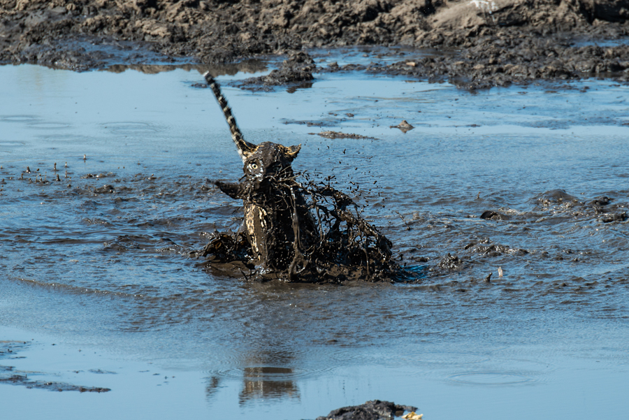 Gone fishing