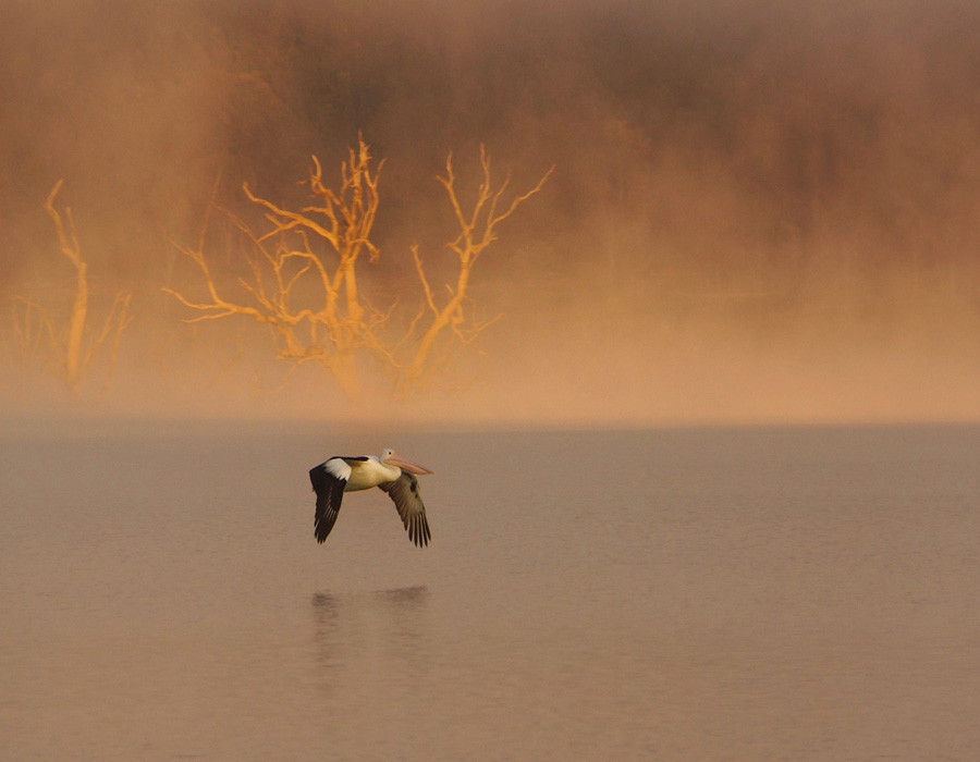 Flyby at Lake Eildon, Victoria, Australia