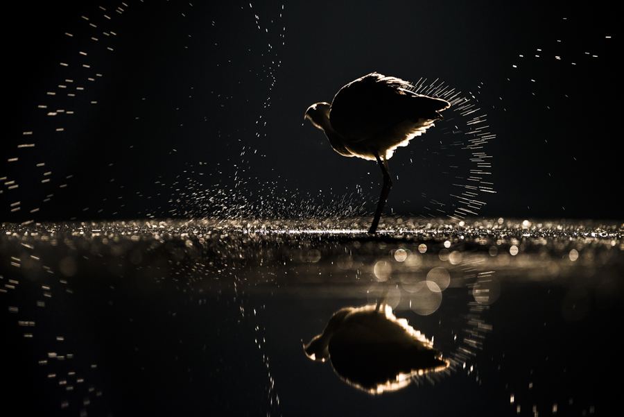 Waterballet
