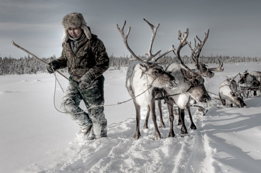 The Boy that Lived on the Tundra