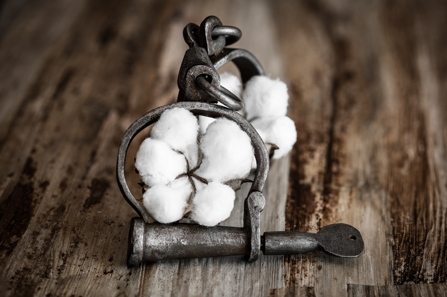 Shackles and Cotton