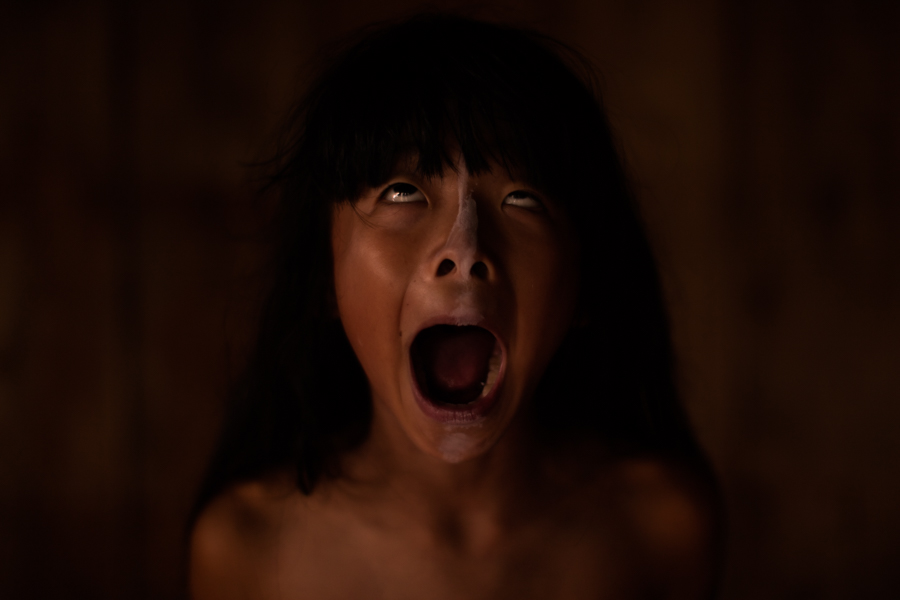 The Scream
