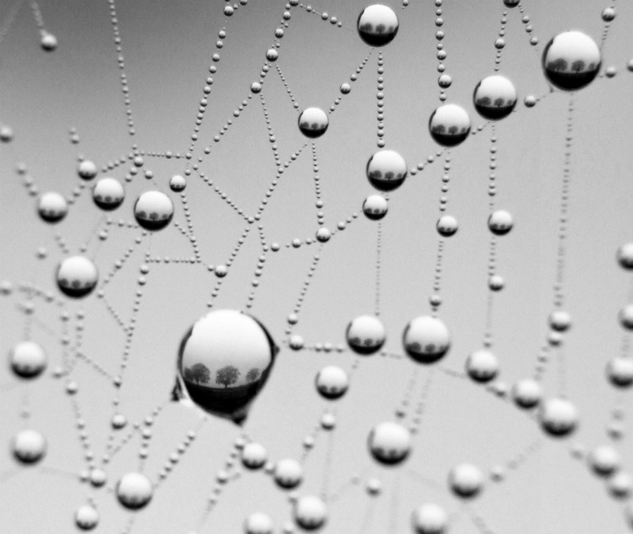 Inside The Web