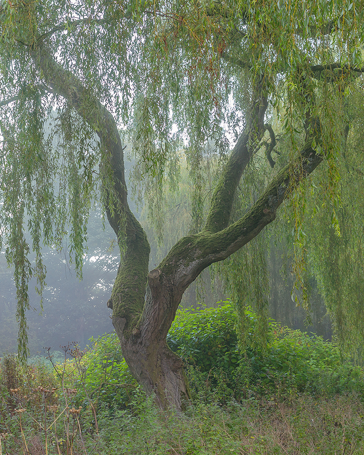 The Scenic Route