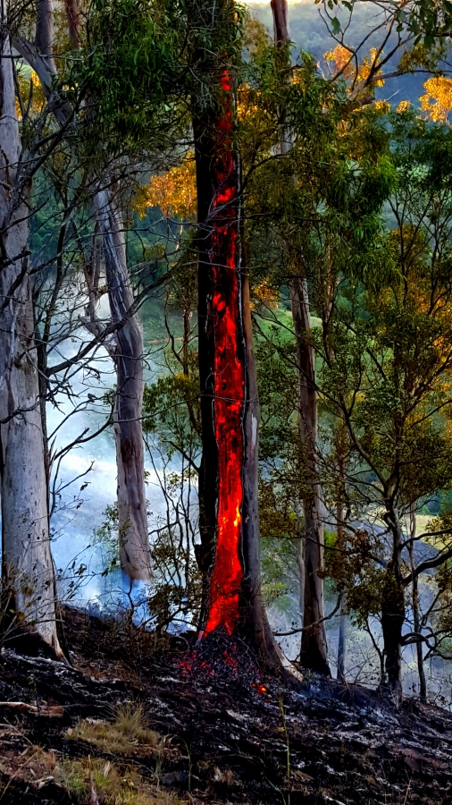 Krambach NSW