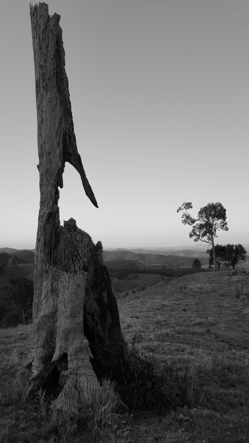 Krambach NSW