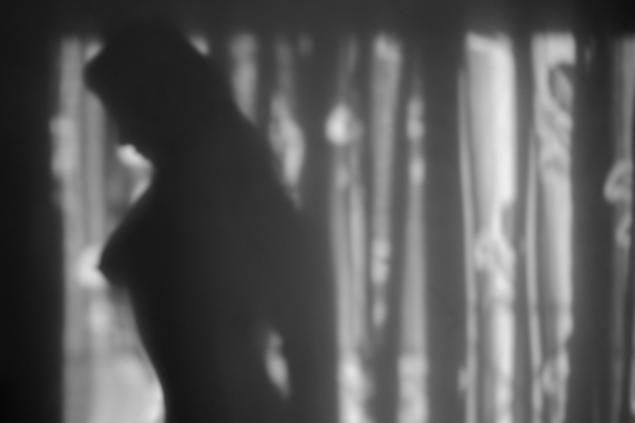 Beautiful Shadow