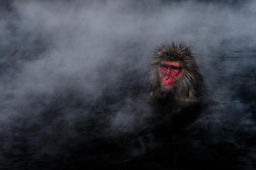 Smoke in the water