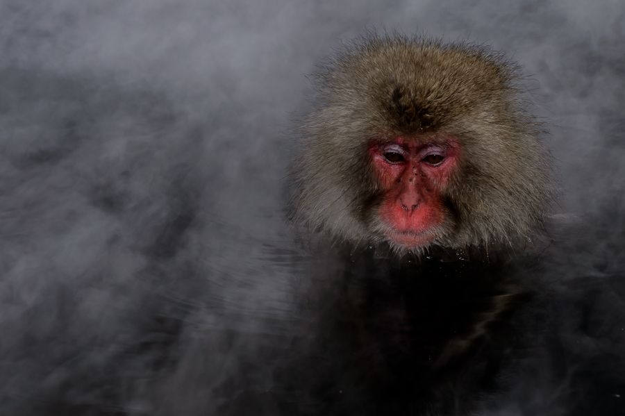 Smoke in the water