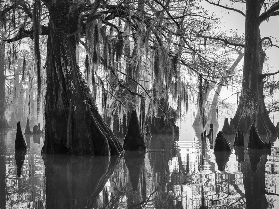 Atchafalaya
