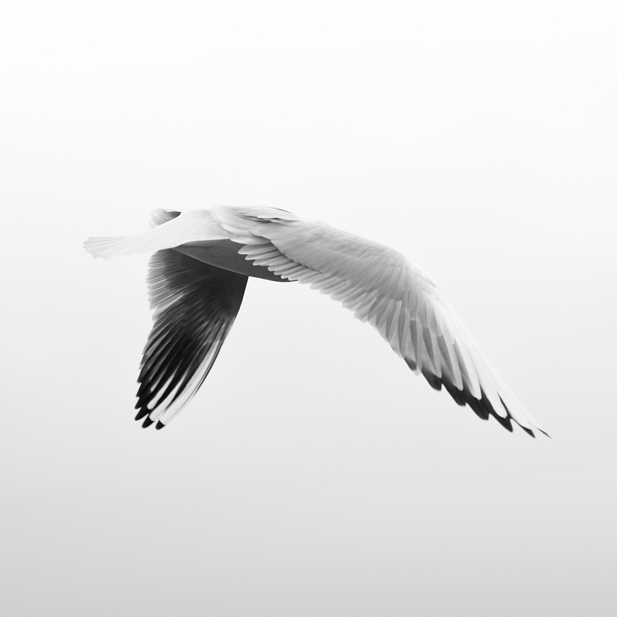 L'Instent Du Silence