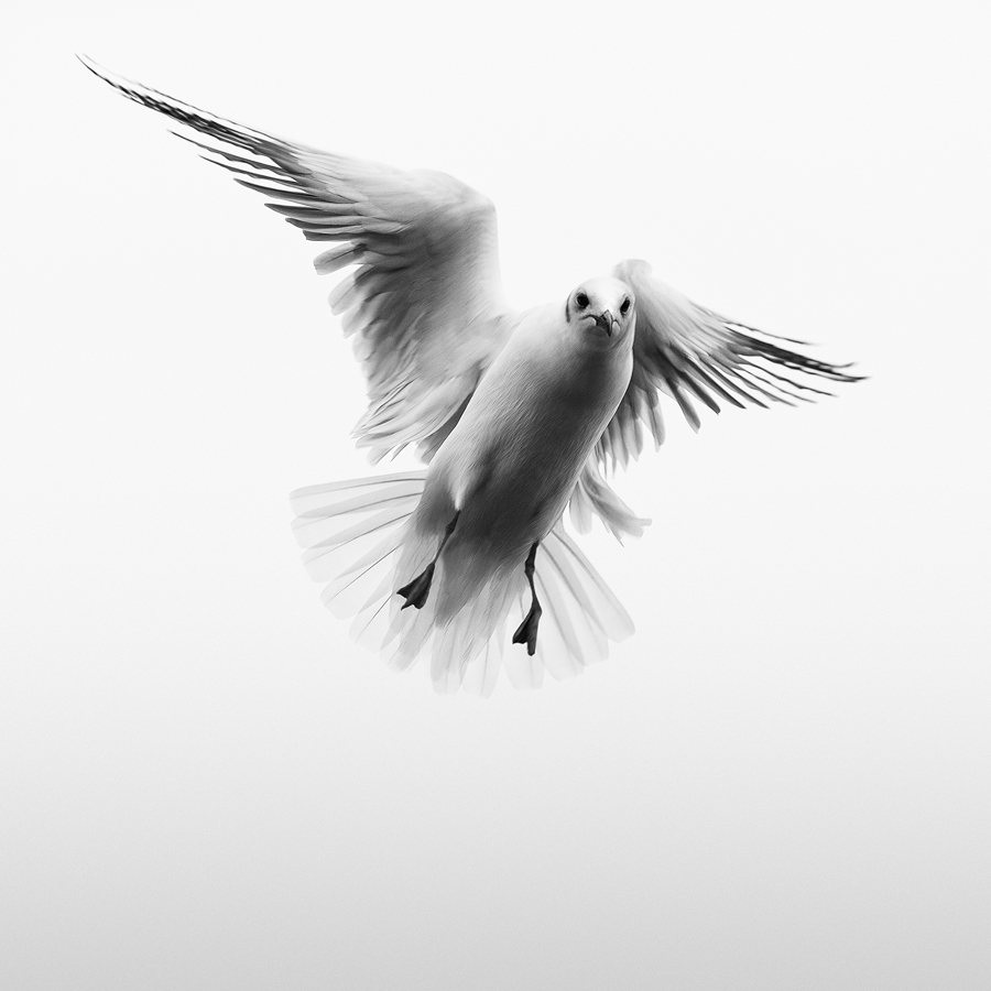 L'Instent Du Silence