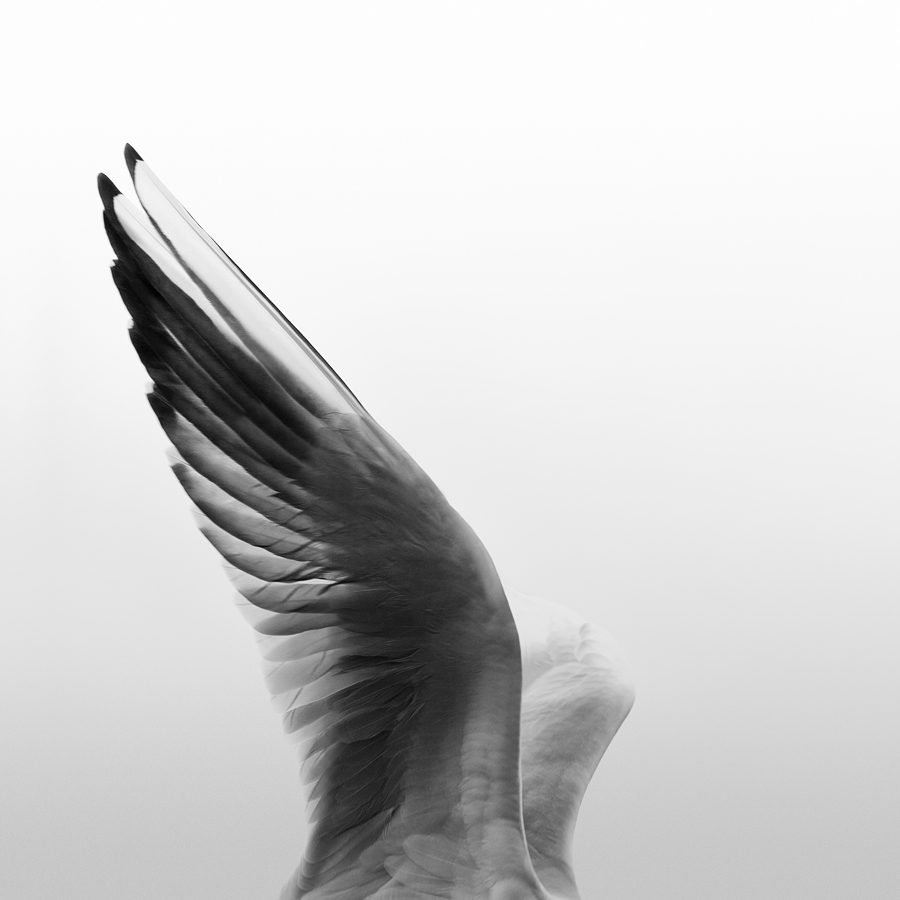 L'Instent Du Silence