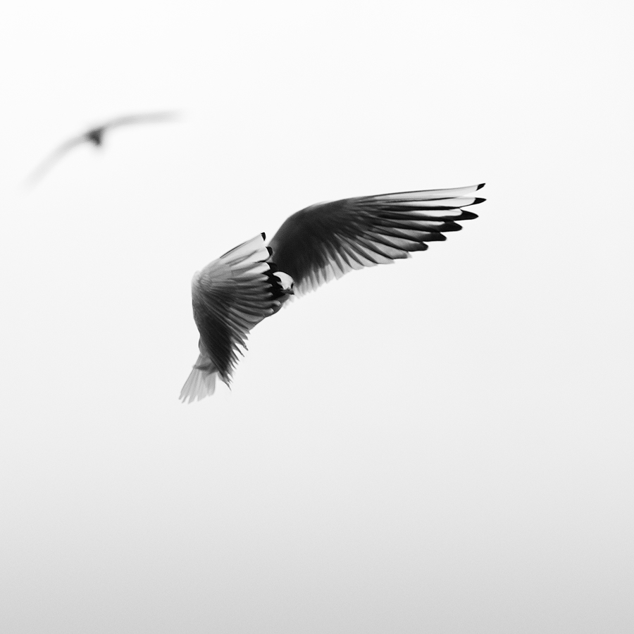 L'Instent Du Silence