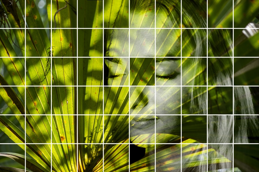 Jigsaw Symbiosis