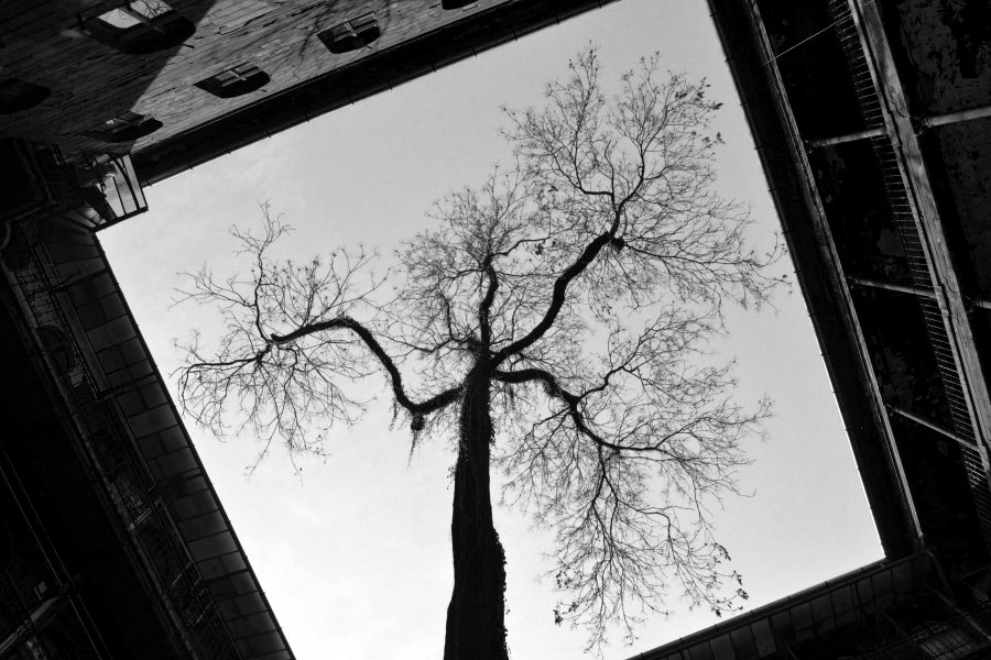 (untitled)
