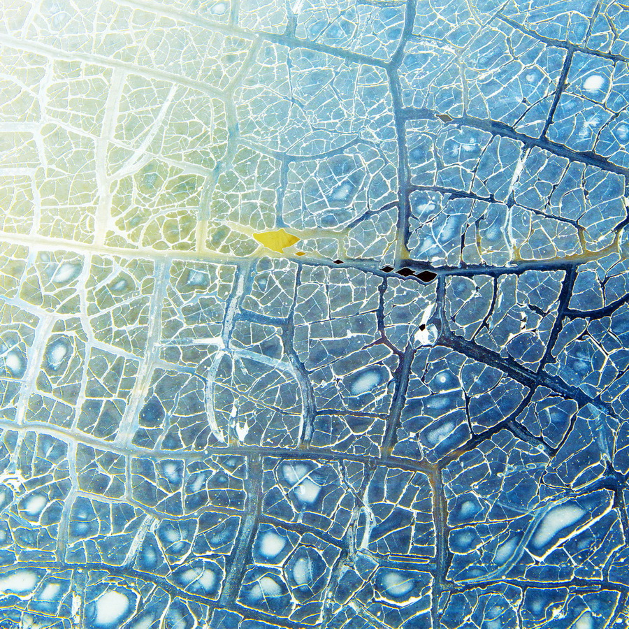 Natural Abstraction