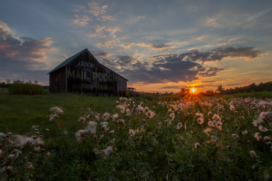The Mail Pouch Barn