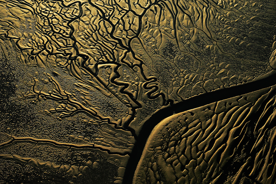 GOLDEN GOLDSMITH
