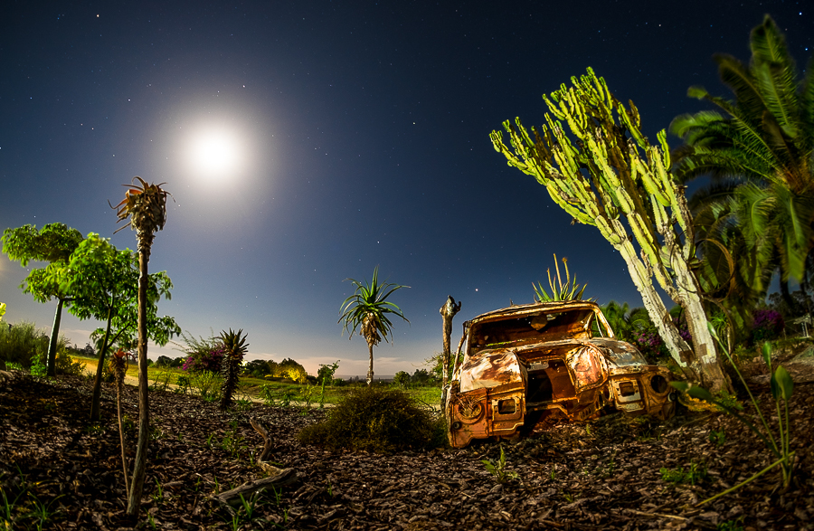 The Kraal front yard