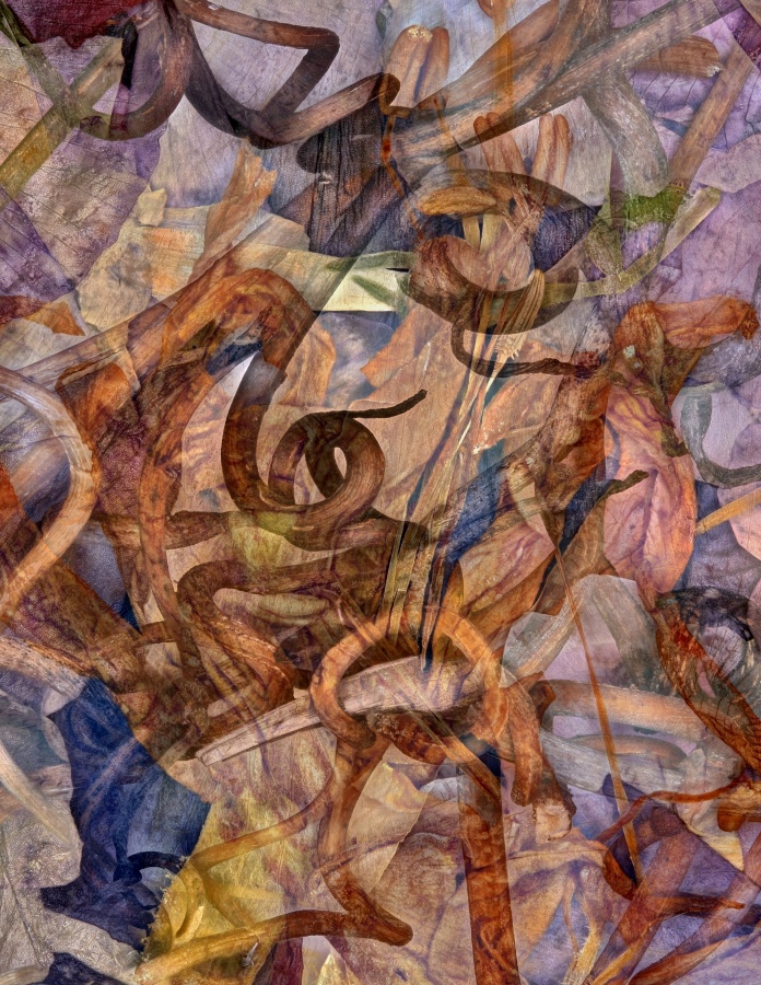 Phases of drunkard’s dream